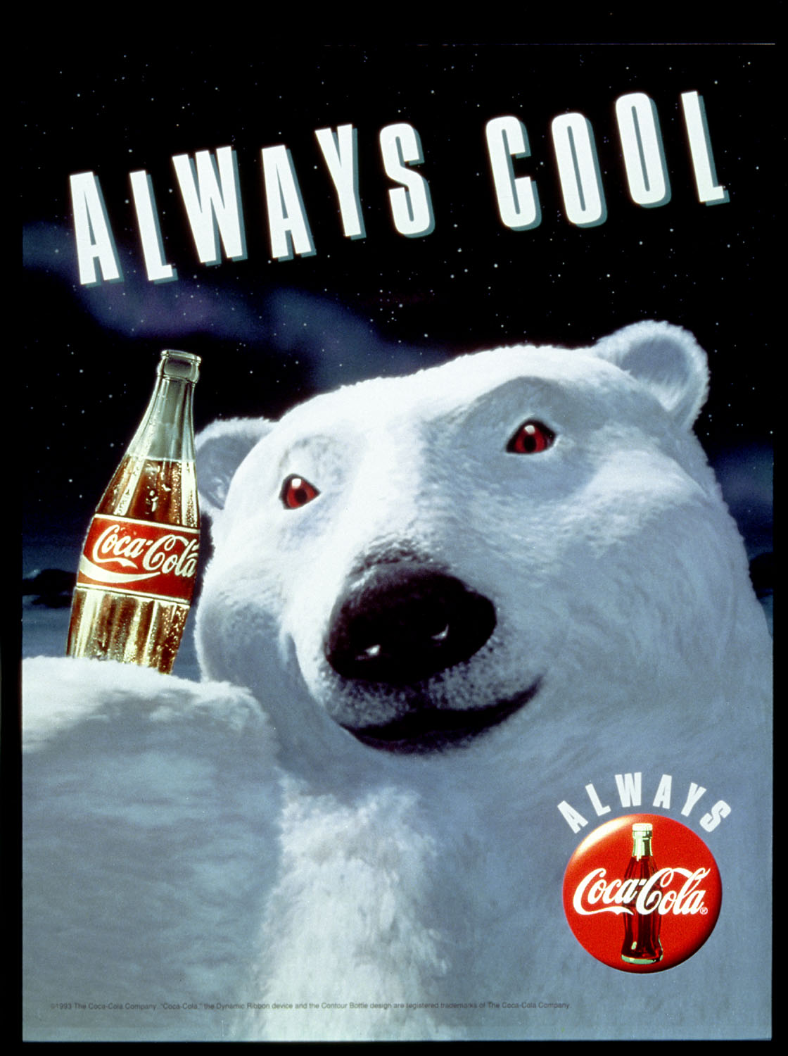 Coca Cola Bear
